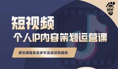 抖音短视频个人ip内容策划实操课，真正做到普通人也能实行落地-问小徐资源库