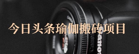 猎人社区·今日头条瑜伽搬砖项目，单号一天几十收入，可以批量操作！-问小徐资源库