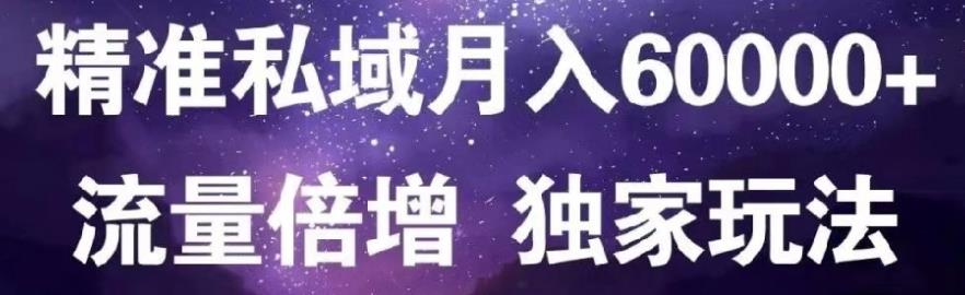 原力网赚精准私域月入60000+,流量倍增独家玩法-问小徐资源库