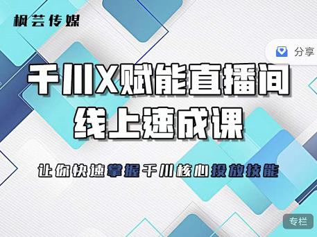 枫芸传媒-线上千川提升课，提升千川认知，提升千川投放效果-问小徐资源库
