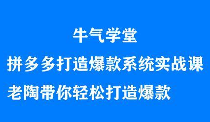 牛气学堂拼多多打造爆款系统实战课，老陶带你轻松打造爆款-问小徐资源库
