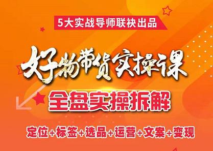 抖音好物带货实操课，全盘拆解抖音好物带货号全套流程打法-问小徐资源库
