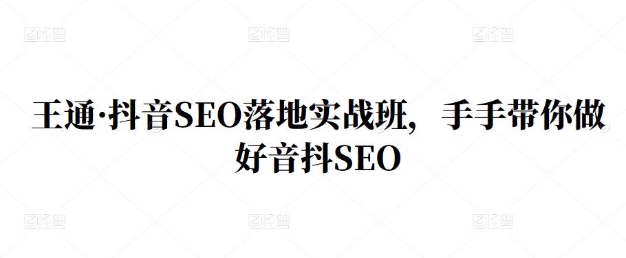 王通·抖音SEO落地实战班，手‬手带你做好音抖‬‬SEO-问小徐资源库