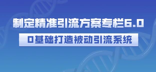 制定精准引流方案专栏6.0，0基础打造被动引流系统-问小徐资源库
