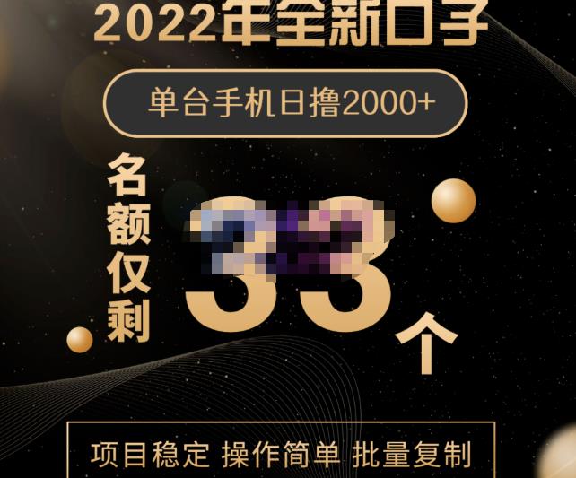 2022年全新口子，手机批量搬砖玩法，一部手机日撸2000+-问小徐资源库