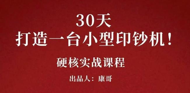 康哥30天打造一台小型印钞机：躺赚30万的项目完整复盘（视频教程）-问小徐资源库