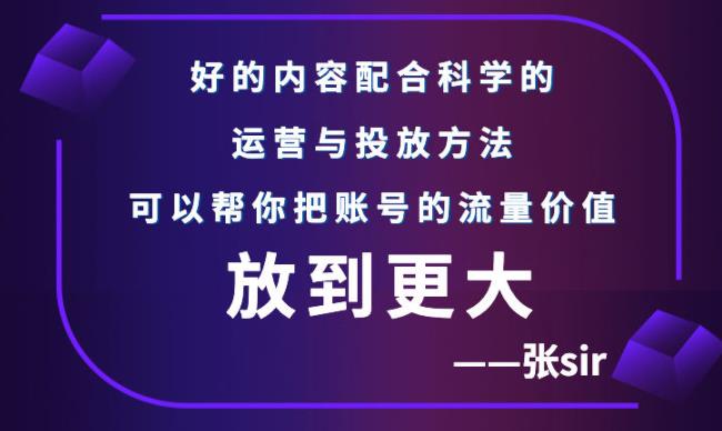 张sir账号流量增长课，告别海王流量，让你的流量更精准-问小徐资源库