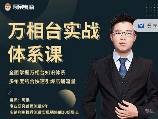 阿呆-万相台实战体系课，帮您全面掌握万相台知识体系-问小徐资源库