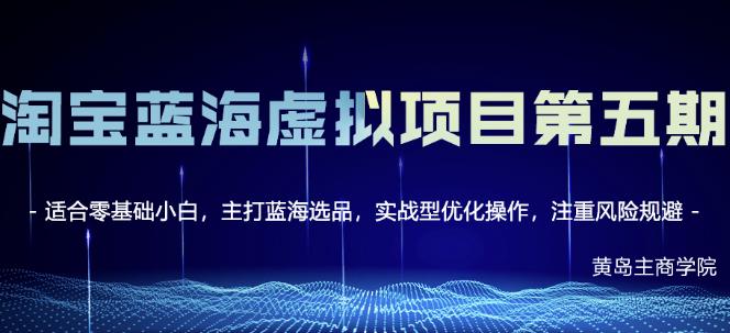 淘宝虚拟无货源3.0+4.0+5.0，适合零基础小白，主打蓝海选品，实战型优化操作-问小徐资源库