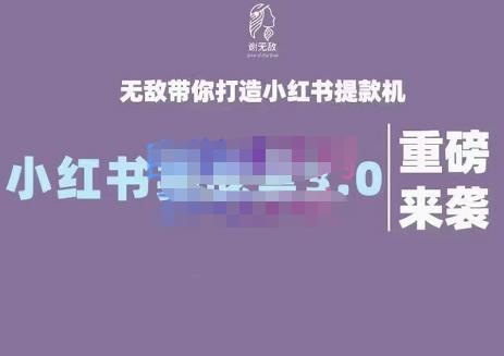 谢无敌·小红书实战营3.0，无敌带你打造小红书提款机 价值7999元-问小徐资源库