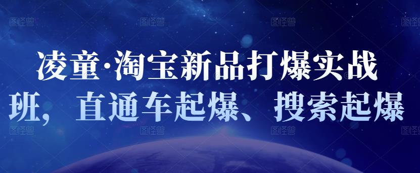 凌童·淘宝新品打爆实战班，直通车起爆、搜索起爆-问小徐资源库