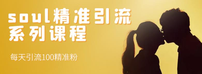 soul精准引流系列课程，每天引流100精准粉-问小徐资源库