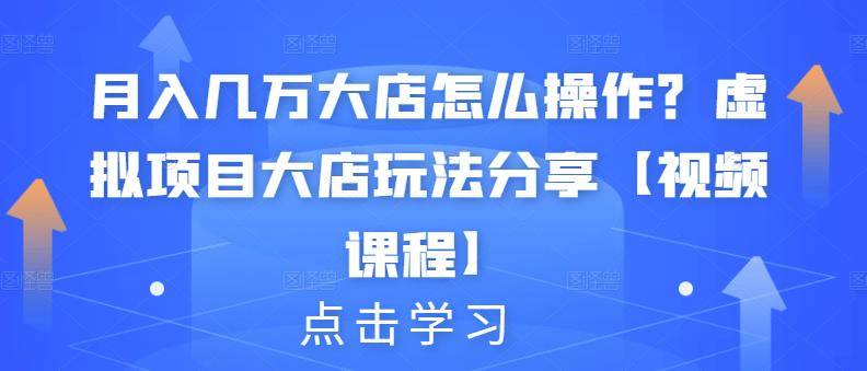 月入几万大店怎么操作？虚拟项目大店玩法分享【视频课程】-问小徐资源库