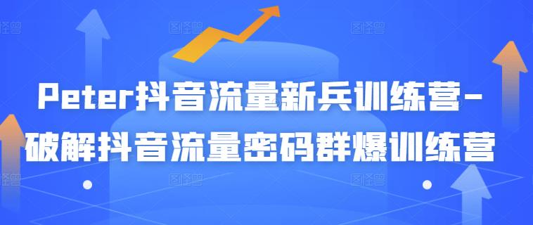 Peter抖音流量新兵训练营-破解抖音流量密码群爆训练营（新兵）-问小徐资源库