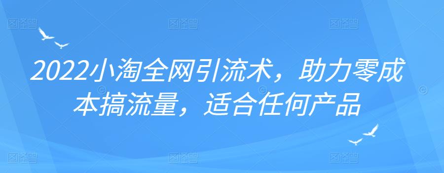 2022年小淘全网引流术，助力零成本搞流量，适合任何产品-问小徐资源库