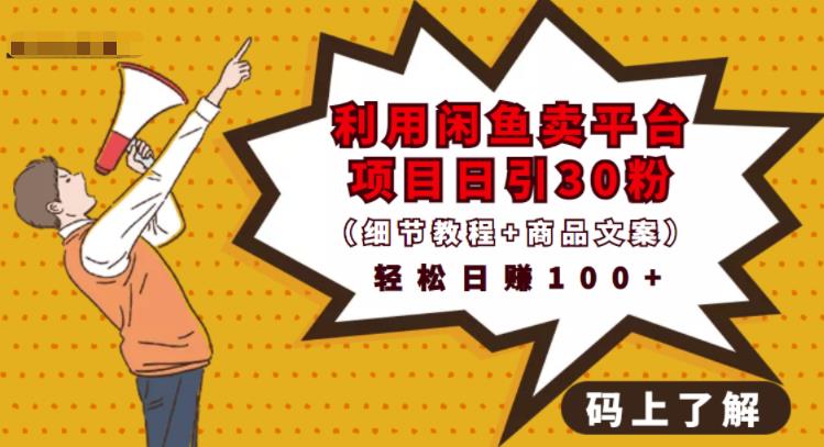 利用闲鱼卖平台项目课程资源日引流30+精准粉丝，轻松日赚100+，积累人脉可实现二次变现（细节教程+商品文案）-问小徐资源库
