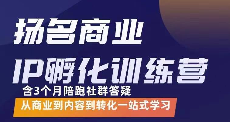 杨名商业IP孵化训练营，从商业到内容到转化一站式学 价值5980元-问小徐资源库