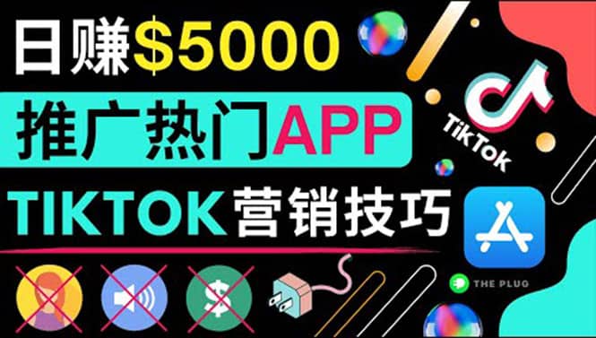 无需露脸，无需录音，无需投资，TIKTOK上传短视频，最高日入5000美元-问小徐资源库