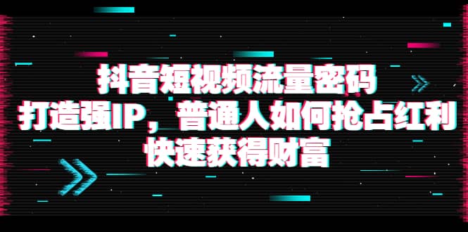 抖音短视频流量密码：打造强IP，普通人如何抢占红利，快速获得财富-问小徐资源库