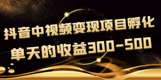 黄岛主《抖音中视频变现项目孵化》单天的收益300-500 操作简单粗暴-问小徐资源库