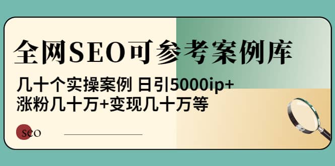 《全网SEO可参考案例库》几十个实操案例-问小徐资源库