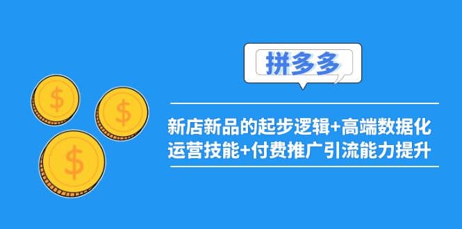 2022拼多多：新店新品的起步逻辑+高端数据化运营技能+付费推广引流能力提升-问小徐资源库