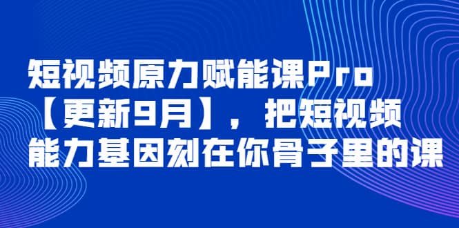 短视频原力赋能课Pro【更新9月】，把短视频能力基因刻在你骨子里的课-问小徐资源库