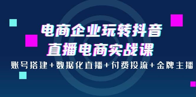电商企业玩转抖音直播电商实战课：账号搭建+数据化直播+付费投流+金牌主播-问小徐资源库