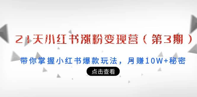 21天小红书涨粉变现营（第3期）：带你掌握小红书爆款玩法，月赚10W+秘密-问小徐资源库