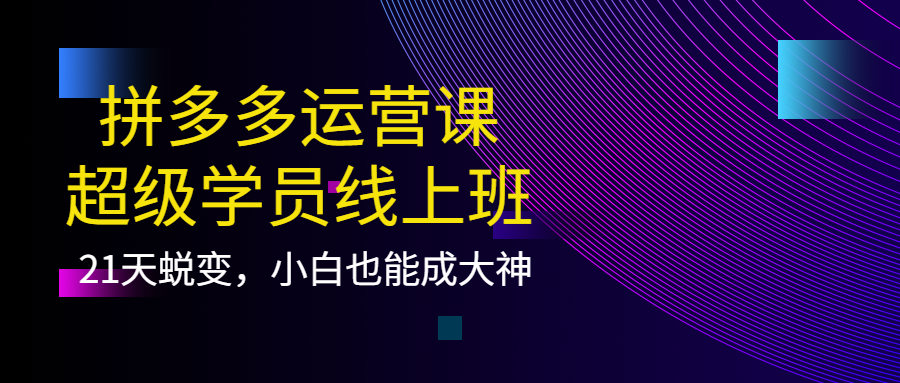 拼多多运营课：超级学员线上班，21天蜕变，小白也能成大神-问小徐资源库