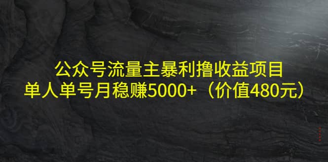 公众号流量主暴利撸收益项目，单人单号月稳赚5000+（价值480元）-问小徐资源库