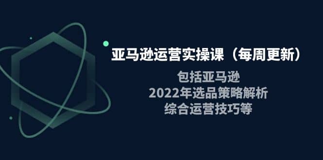 亚马逊运营实操课（每周更新）包括亚马逊2022选品策略解析，综合运营技巧等-问小徐资源库