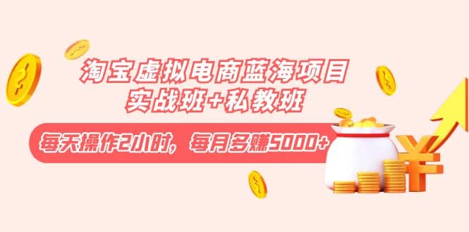 淘宝虚拟电商蓝海项目实战班+私教班-问小徐资源库
