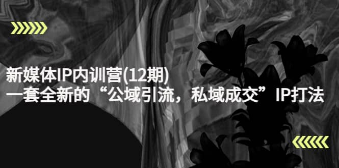 新媒体IP内训营(12期)，一套全新的“公域引流，私域成交”IP打法，直接带走-问小徐资源库