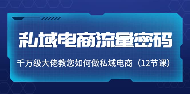 私域电商流量密码：千万级大佬教您如何做私域电商（12节课）-问小徐资源库