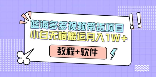 人人都能操作的蓝海多多视频带货项目 小白无脑搬运（教程+软件）-问小徐资源库