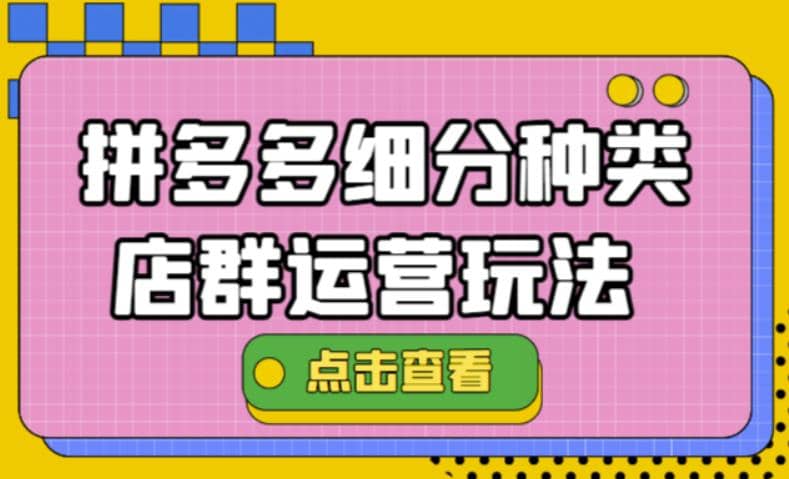 拼多多细分种类店群运营玩法3.0，11月最新玩法，小白也可以操作-问小徐资源库