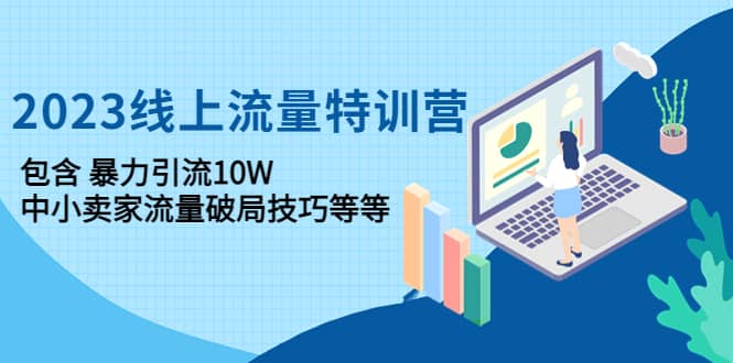 2023线上流量特训营：中小卖家流量破局技巧等等-问小徐资源库