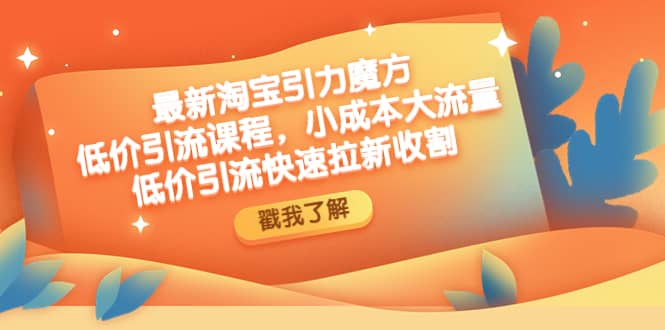 最新淘宝引力魔方低价引流实操：小成本大流量-问小徐资源库