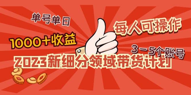 2023新细分领域带货计划：单号单日1000+收益不难，每人可操作3-5个账号-问小徐资源库