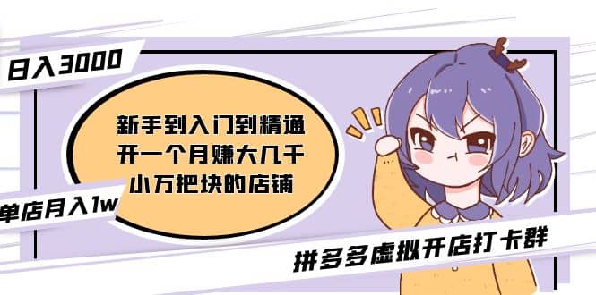 拼多多虚拟开店打卡群：新手到入门到精通-问小徐资源库