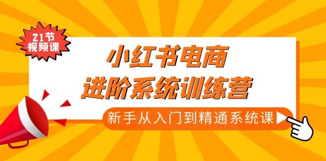 小红书电商进阶系统训练营：新手从入门到精通系统课（21节视频课）-问小徐资源库