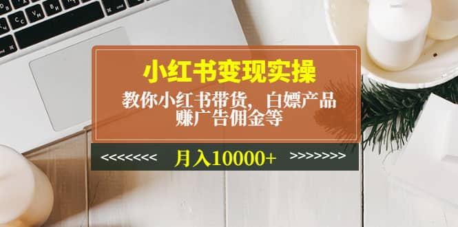 小红书变现实操：教你小红书带货，白嫖产品，赚广告佣金等-问小徐资源库