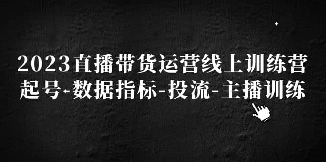 2023直播带货运营线上训练营，起号-数据指标-投流-主播训练-问小徐资源库
