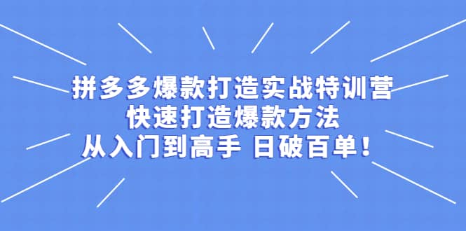拼多多爆款打造实战特训营：快速打造爆款方法，从入门到高手 日破百单-问小徐资源库