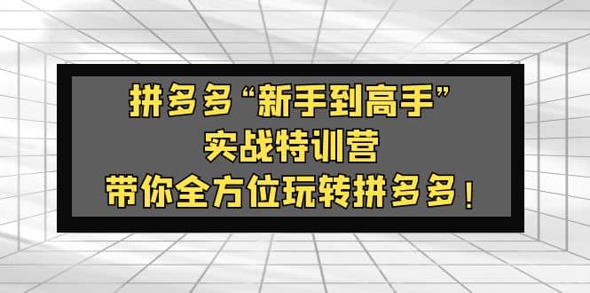 拼多多“新手到高手”实战特训营：带你全方位玩转拼多多-问小徐资源库