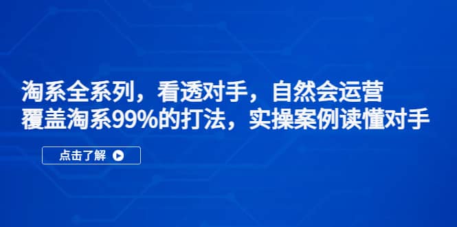 淘系全系列，看透对手，自然会运营，覆盖淘系99%·打法，实操案例读懂对手-问小徐资源库