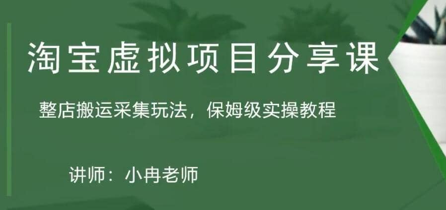 淘宝虚拟整店搬运采集玩法分享课：整店搬运采集玩法，保姆级实操教程-问小徐资源库