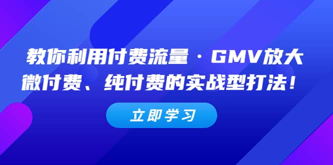 教你利用付费流量·GMV放大，微付费、纯付费的实战型打法-问小徐资源库