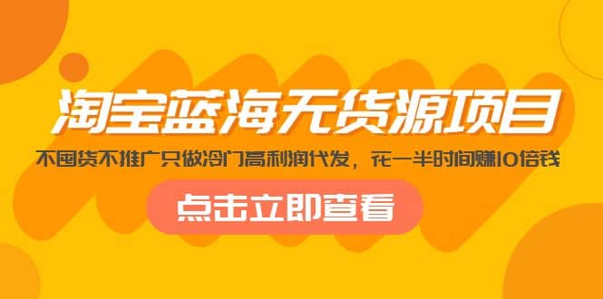 淘宝蓝海无货源项目，不囤货不推广只做冷门高利润代发-问小徐资源库